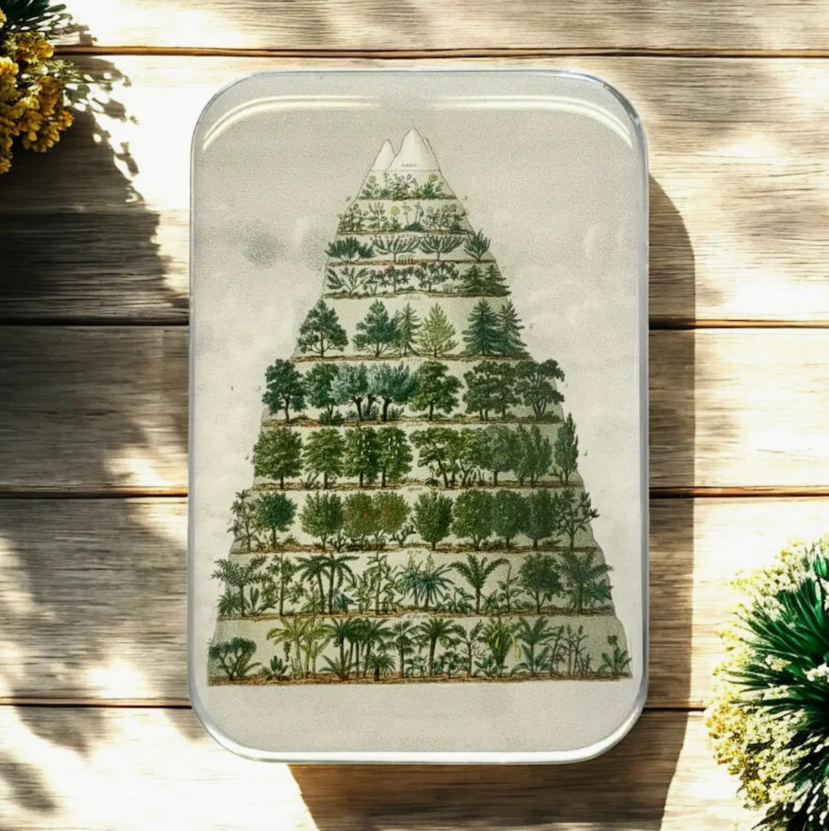 Product image 65